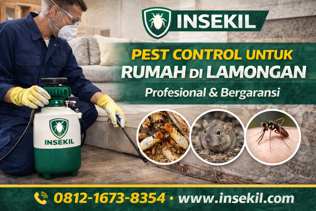 Pest Control untuk Rumah di Lamongan