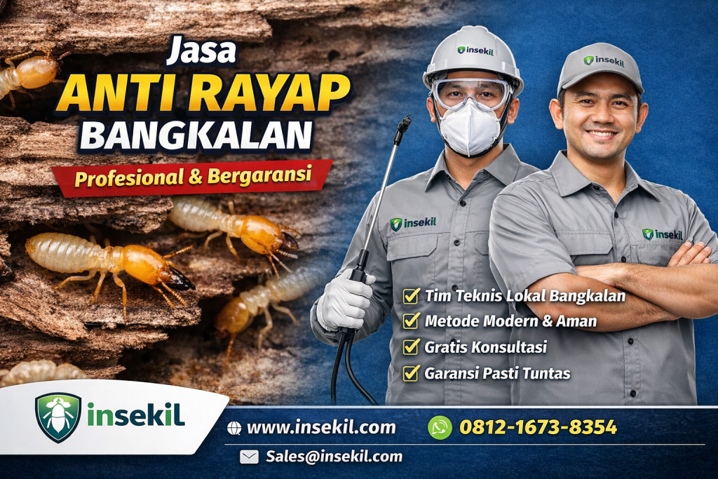 Jasa Anti Rayap Bangkalan Profesional