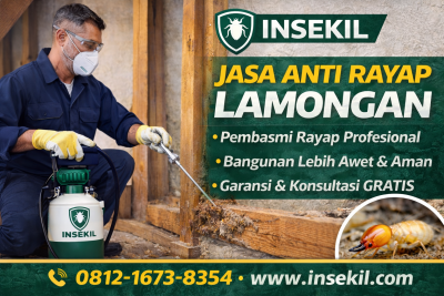 Jasa Anti Rayap di Lamongan
