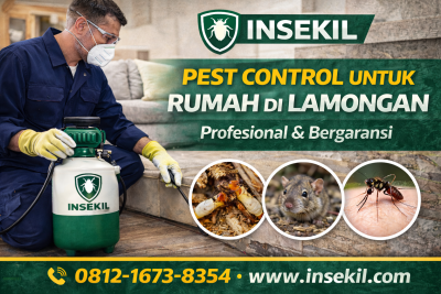 Pest Control untuk Rumah Lamongan