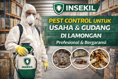 pest control gudang di lamongan