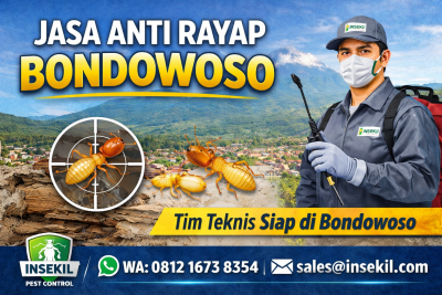 Jasa Anti Rayap Bondowoso Profesional