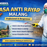 Jasa Anti Rayap Malang