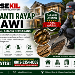Jasa Anti Rayap Ngawi