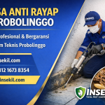 Jasa Anti Rayap Probolinggo